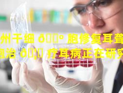 广州干细 🐺 胞修复耳聋（干细胞治 🦉 疗耳病正在研究吗）